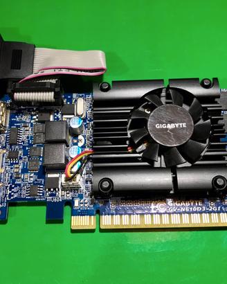 Scheda grafica Gigabyte GV-N610D3-2GI