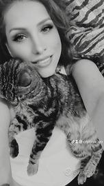 Segreteria/hostess accoglienza sopporto clienti