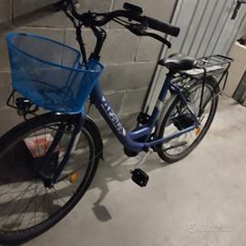 bicicletta assistita 