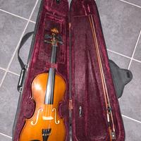 Violino