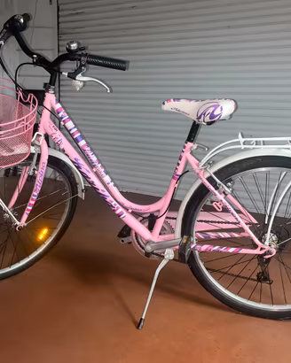 bicicletta Alpina