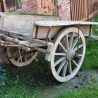 Carro in legno