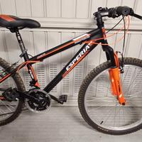 Mountainbike bambino 24"
