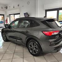 Ford Kuga 2.0 EcoBlue 120 CV aut. 2WD ST-Line
