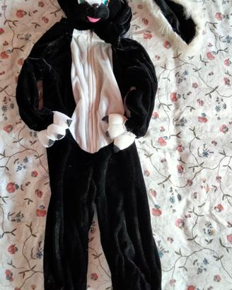 vestito carnevale 