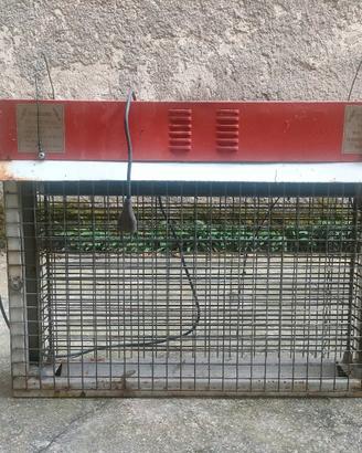 griglia antizanzare 