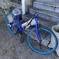 Bici da corsa nuova Baci Perugina