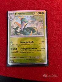 Carta Pokemon Serperior 006/088