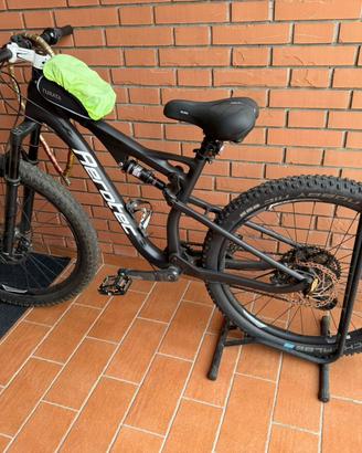 Bicicletta mountain bike e downhill