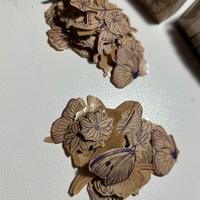 Immagini di 1cm di fiori, farfalla e coccinelle