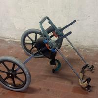 Carrellino ortopedico