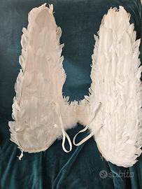 Ali angelo travestimento 