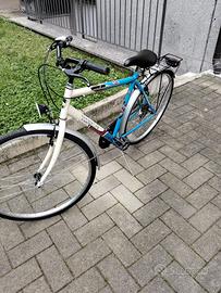 Bicicletta uomo 28