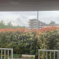 Tenda pvc Cristal Arquati 300 x 260