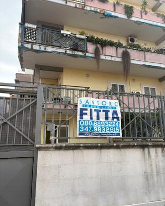 Bari-Ceglie del Campo libero locale commerciale