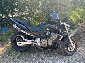 Moto Honda Hornet 600