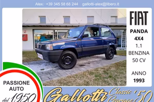 Fiat Panda Trekking 4x4 1.1 benzina 50cv