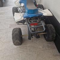 Quad elettrico