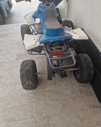 Quad elettrico