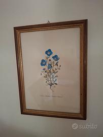 Quadri con cornice in legno 