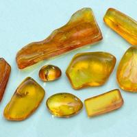 Ambra baltica levigata con inclusioni VI lotto