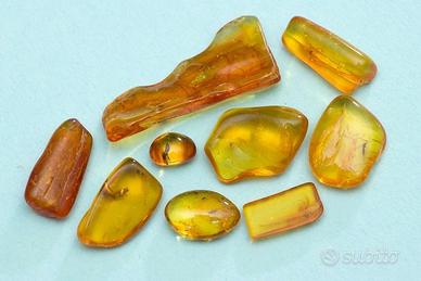 Ambra baltica levigata con inclusioni VI lotto