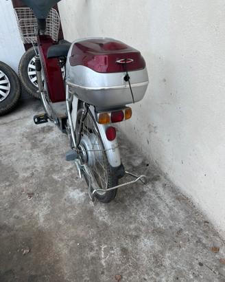 Bici elettrica