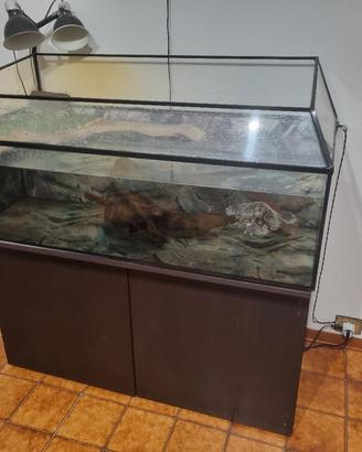 Acquario 180 litri  completo