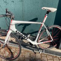 GIANT TCR ADVANCED tg:L