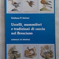 Uccelli Mammiferi tradizioni Caccia nel Bresciano