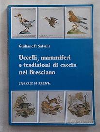 Uccelli Mammiferi tradizioni Caccia nel Bresciano