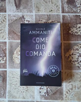 Come Dio comanda 