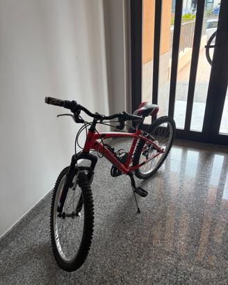 Bicicletta 24
