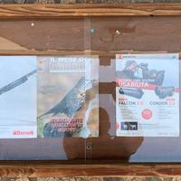 Bacheca in legno massello