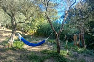 Terreno con uliveto e ruscello vicino a Cuglieri