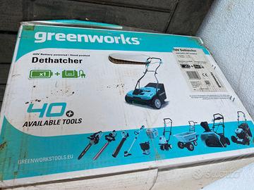 GreenWorks GD40SC38II-Arieggiatore-2 Batterie