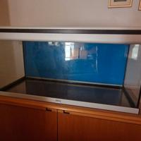 Acquario 250 lt