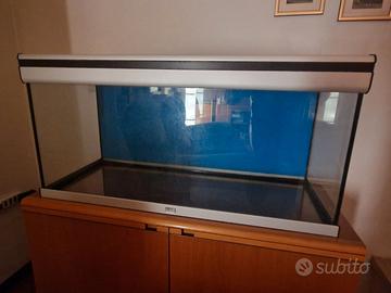 Acquario 250 lt