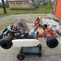 KART KZ RS - TM R1