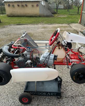 KART KZ RS - TM R1