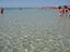 Immagine 12