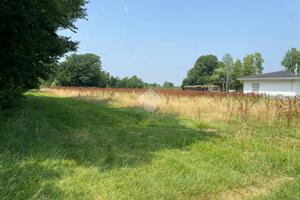 TER. AGRICOLO A CASTELFRANCO VENETO