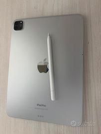 Ipad m2 pro 11' con apple pencil e cover