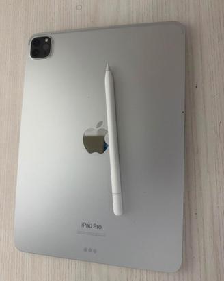Ipad m2 pro 11' con apple pencil e cover