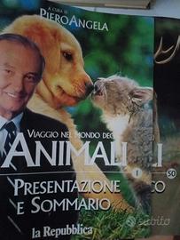 viaggio nel mondo degli animali 