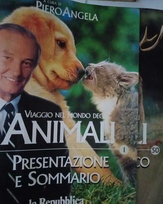 viaggio nel mondo degli animali 