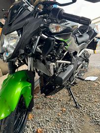 Kawasaki incidentata