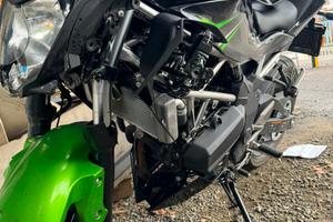 Kawasaki incidentata