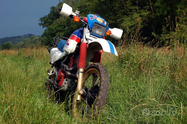 XL 600 Lm