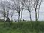 Immagine 14